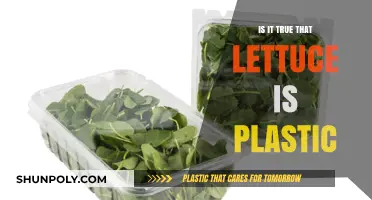 Lettuce: Plastic or Not?