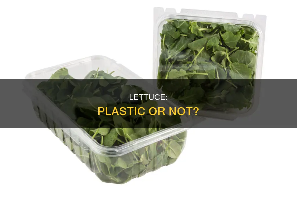 is it true that lettuce is plastic