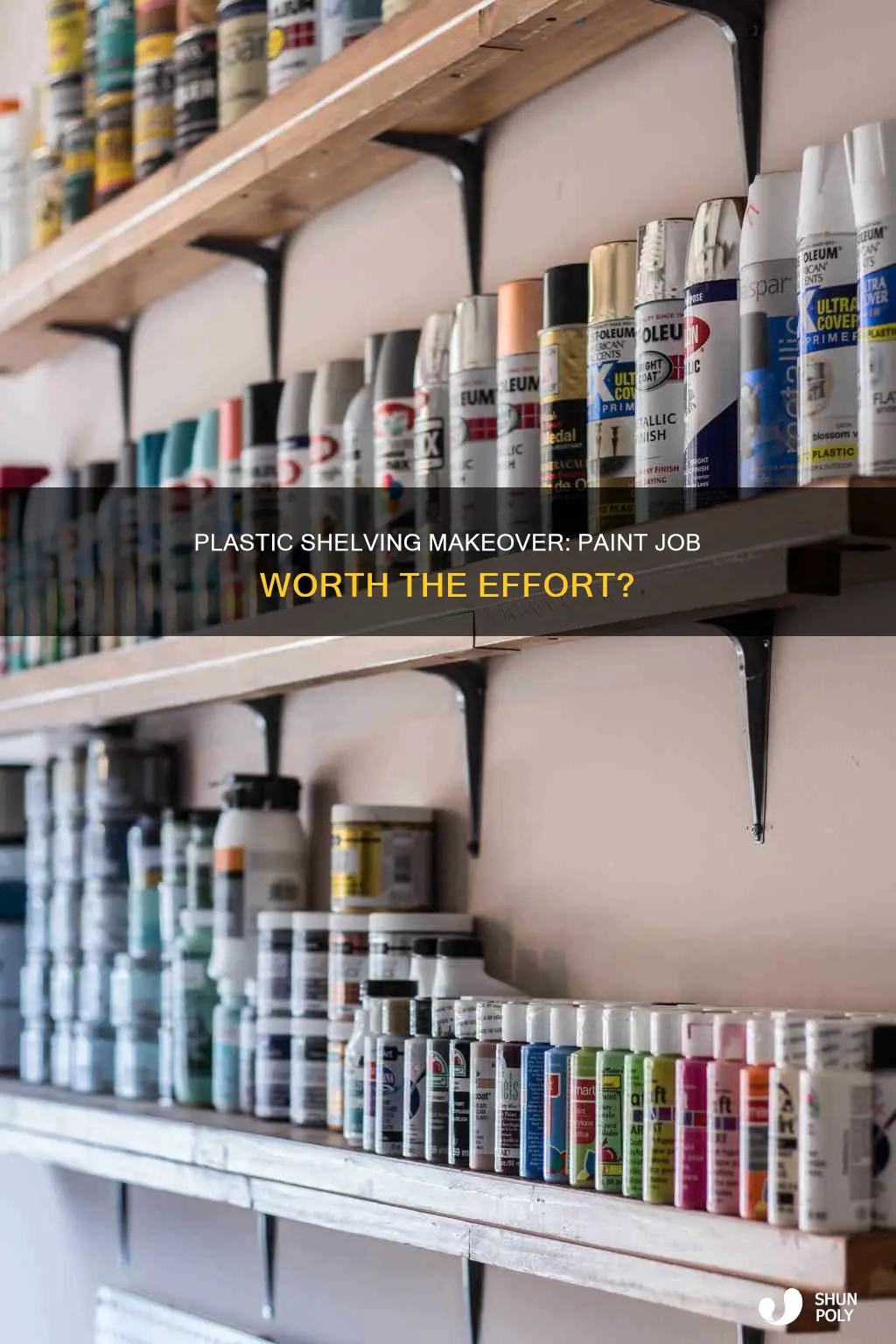 is it worth painting plastic shelving plastic shelves