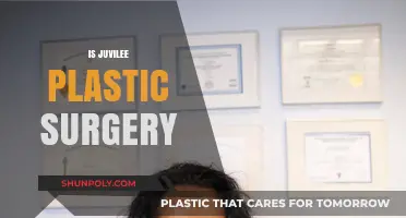Unveiling the Truth: Did Juvilee Undergo Plastic Surgery?