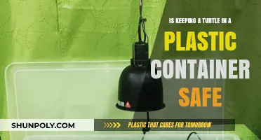 Plastic Container: Safe Haven for Turtles?