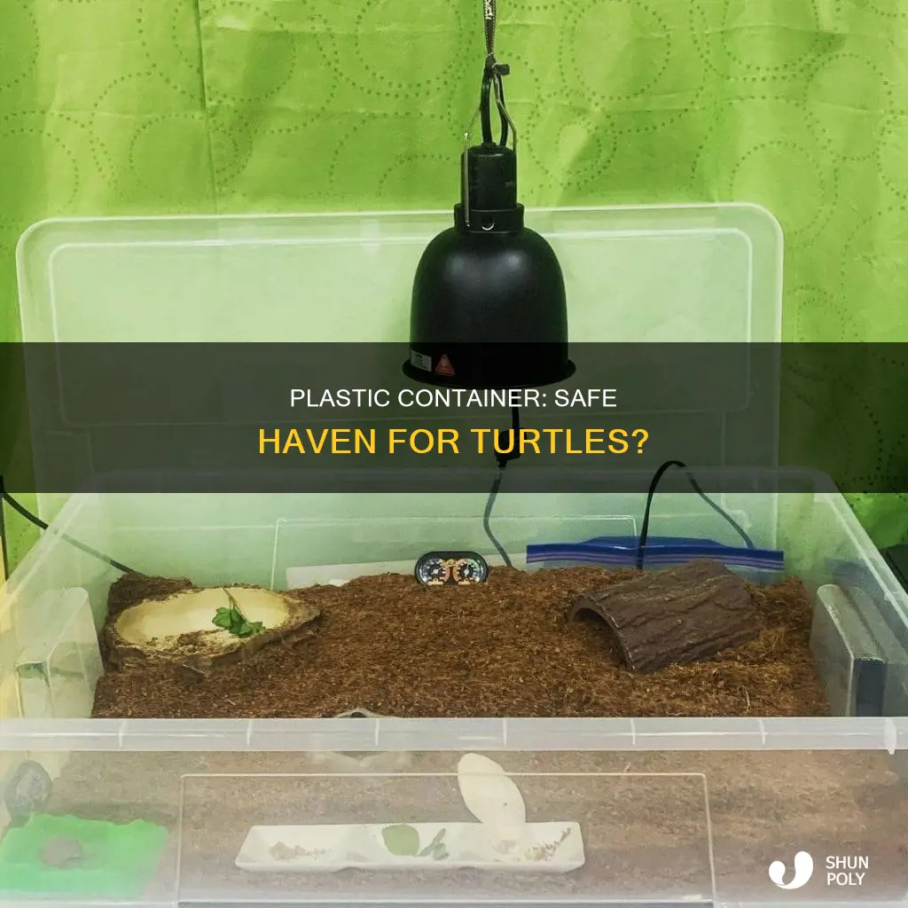 is keeping a turtle in a plastic container safe