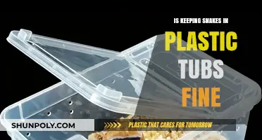 Plastic Tubs: A Safe Home for Pet Snakes?
