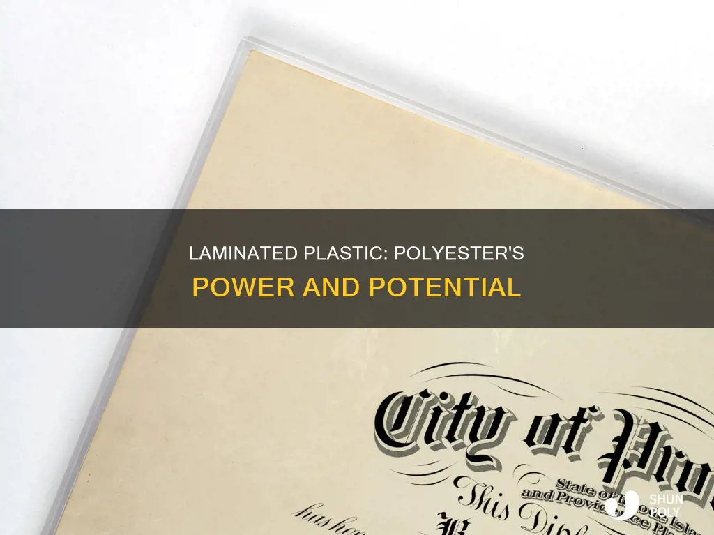 is laminated plastic fild in polyester