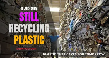 Lane County's Plastic Recycling Future: What's the Plan?