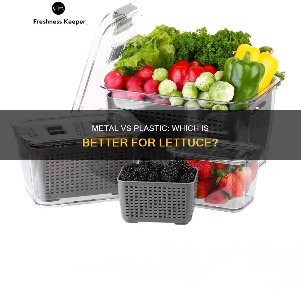 is lettuce better in a metal container or plastic
