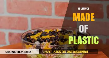 Is Lettuce Made of Plastic? Unraveling the Truth Behind the Myth