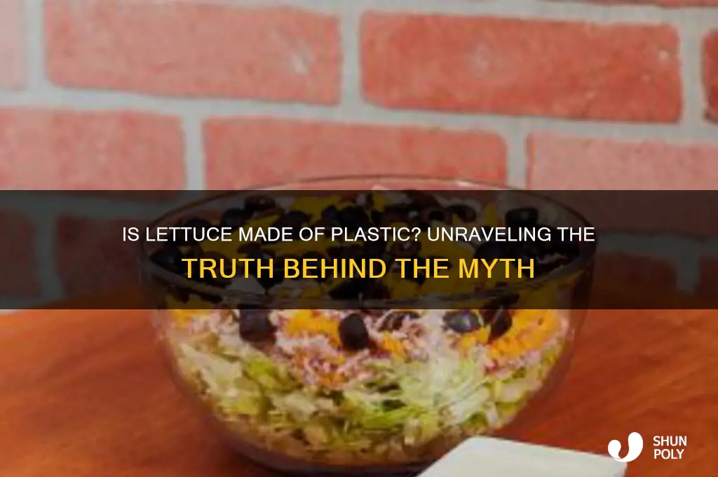 is lettuce made of plastic