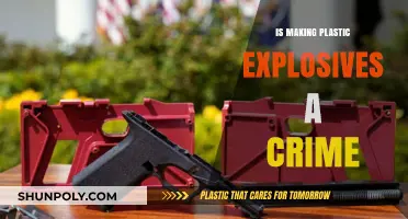 Plastic Explosives: Criminal Mastery or Misguided Artistry?