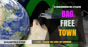 Marlborough, MA: A Plastic Bag-Free Town? Exploring the Initiative