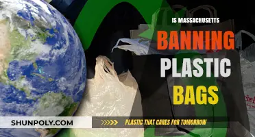 Massachusetts Plastic Bag Ban: What You Need to Know Now