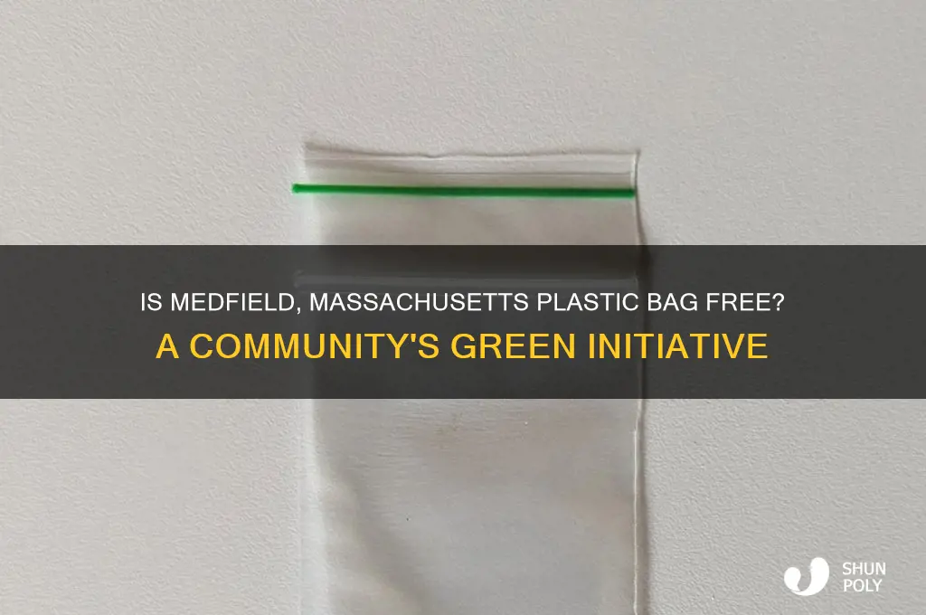 is medfield massachusetts plastic bag free