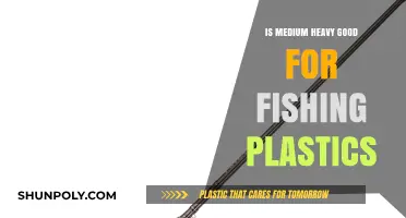 Fishing Plastics: Medium-Heavy Gear for Beginners