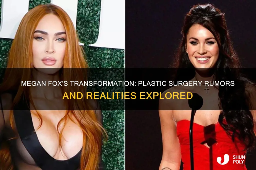 is megan fox plastic surgery