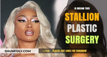 Megan Thee Stallion's Plastic Surgery: Fact-Checking the Rumors and Truth