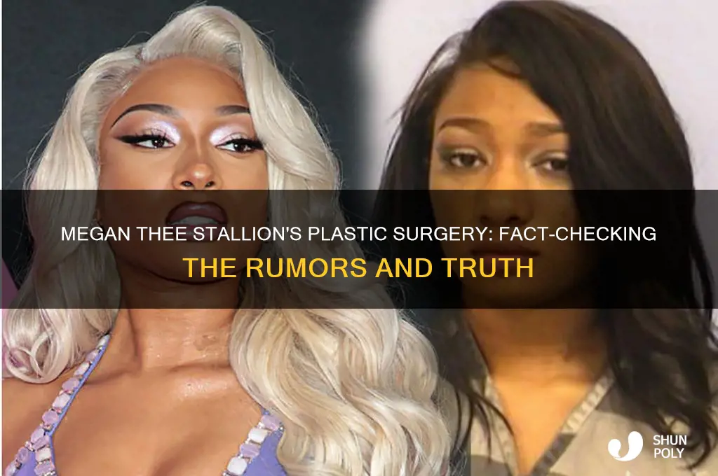 is megan thee stallion plastic surgery