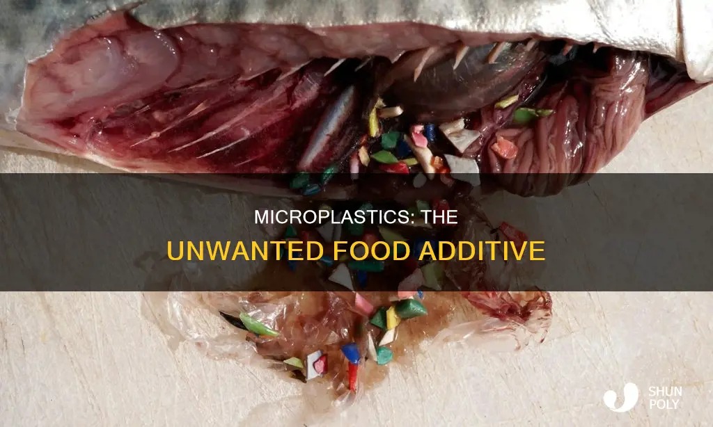 is micro plastic a food additive