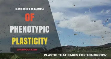 Phenotypic Plasticity: Migration as a Complex Adaptive Trait