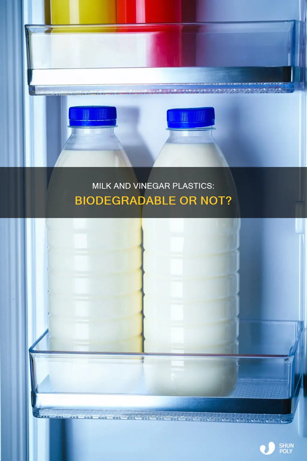 is milk and vinegar based plastic biodegradable