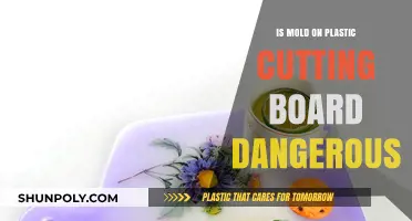 Is Mold on Plastic Cutting Boards a Health Hazard?