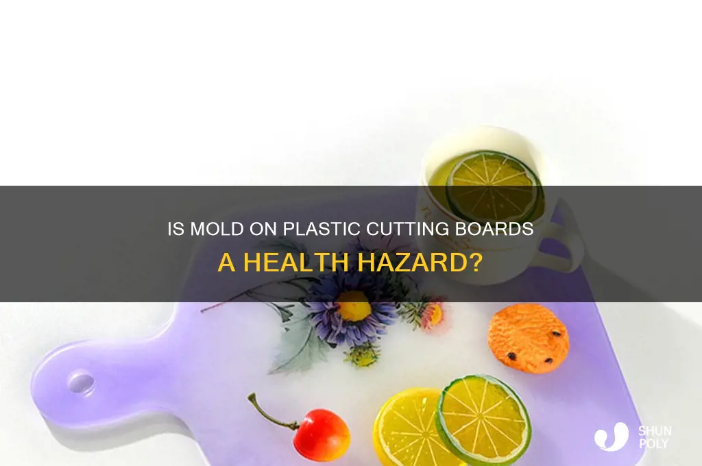 is mold on plastic cutting board dangerous