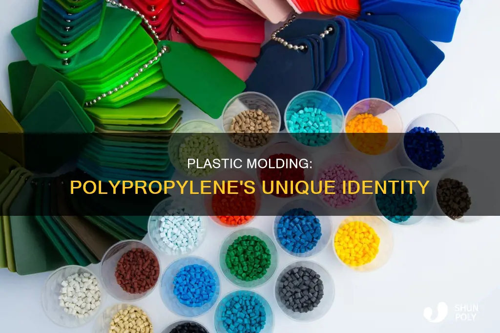 is molded plastic and polypropylene the same