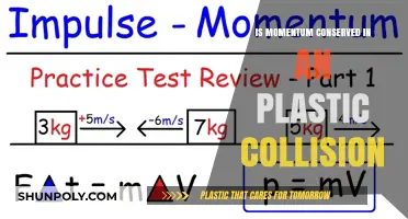 Momentum Conservation: Plastic Collisions Explained