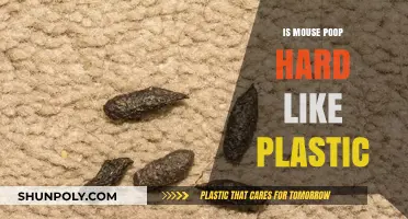 Mouse Poop: Plastic-Like Pellets or Soft Droppings?