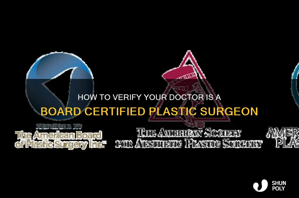is my doctor a board certified plastic surgeon
