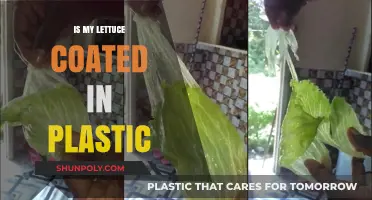 The Plastic-Coated Lettuce Mystery: Why the Shine?