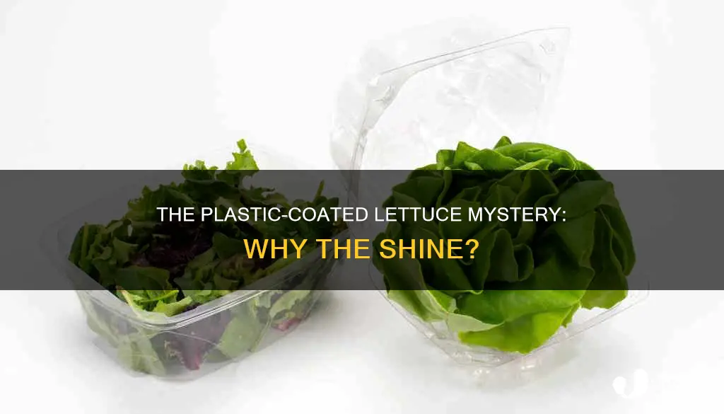 is my lettuce coated in plastic
