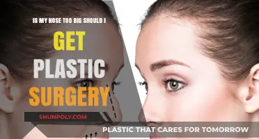 Is My Nose Too Big? Considering Plastic Surgery: A Personal Guide