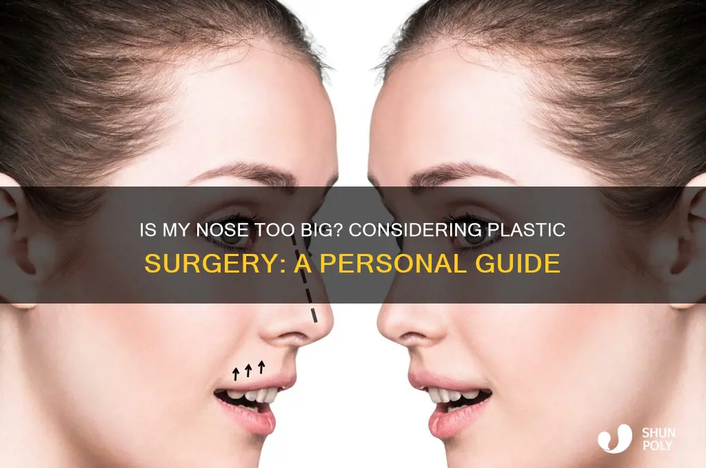 is my nose too big should i get plastic surgery