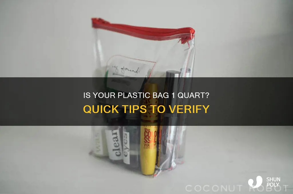 is my plastic bag 1 quart