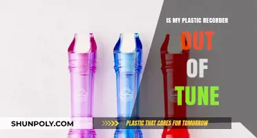 Plastic Recorder: Out of Tune or Out of Practice?