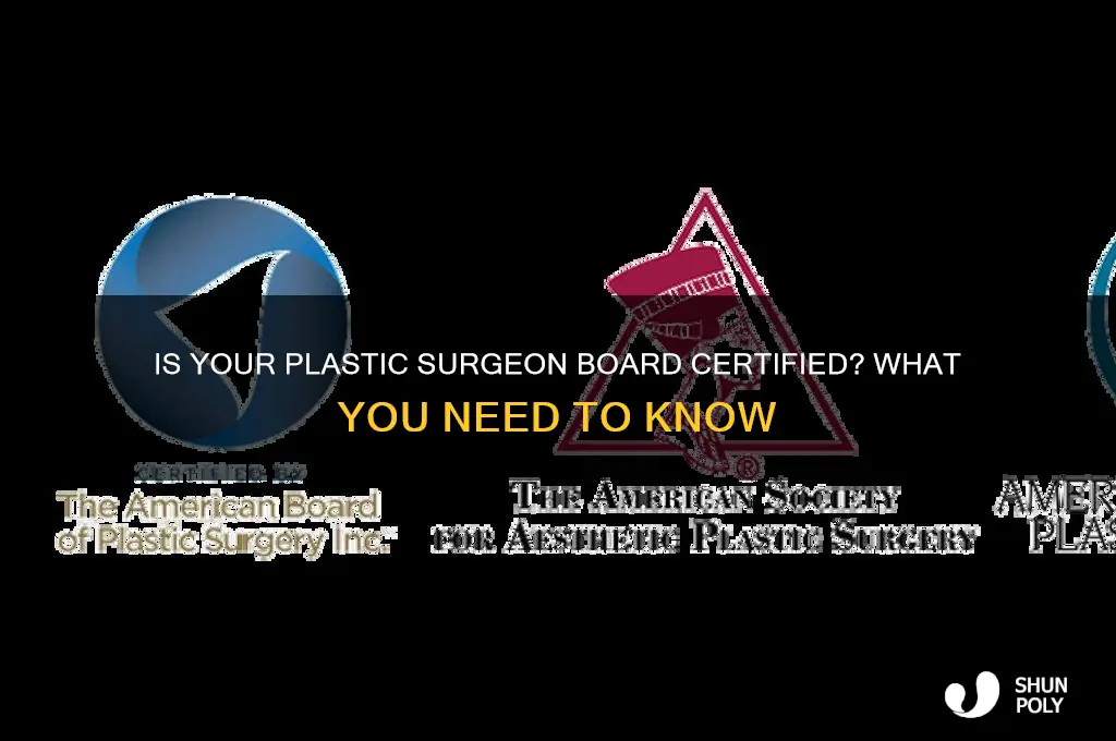 is my plastic surgeon board certified