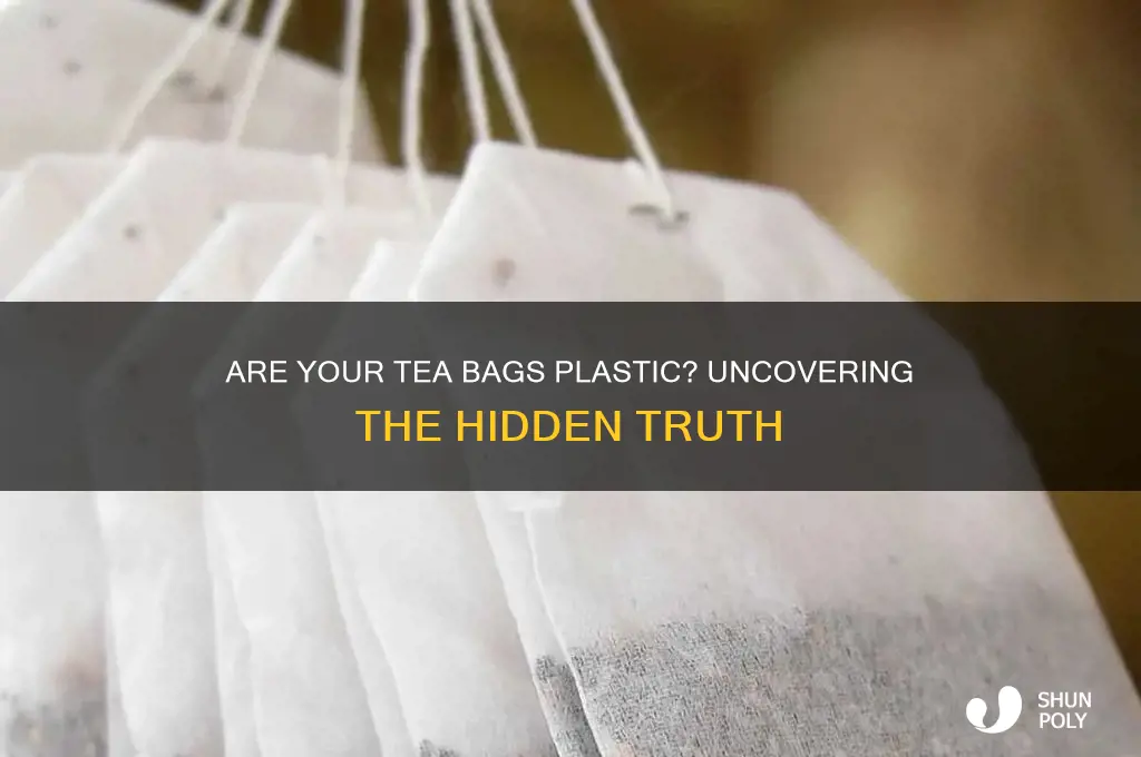 is my tea bags plastic