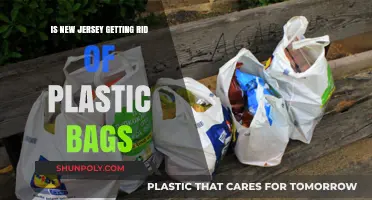New Jersey's Plastic Bag Ban: What You Need to Know