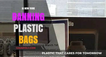 New York's Plastic Bag Ban: What You Need to Know