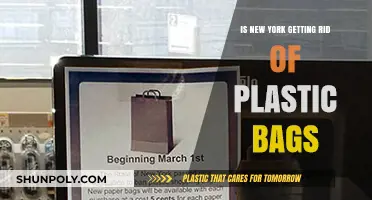 Is New York Banning Plastic Bags? The Latest Updates and Impact