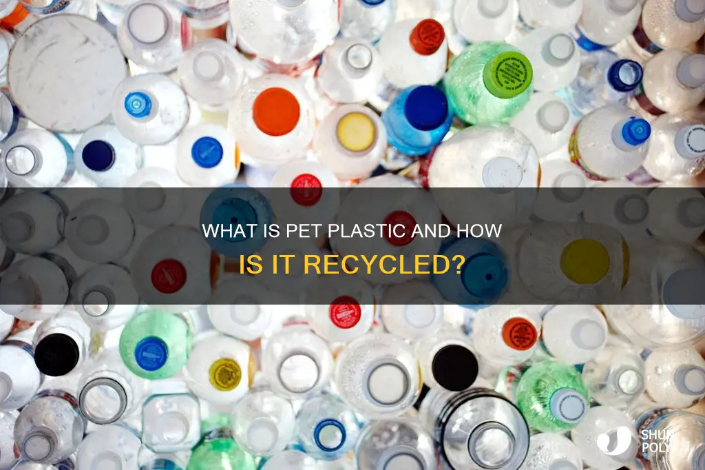 is number 3 plastic same as pet
