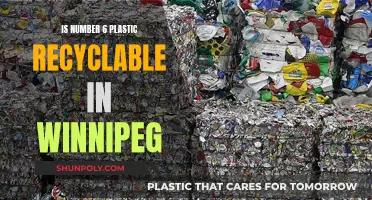 Recycling Plastic No. 6 in Winnipeg: What You Need Know
