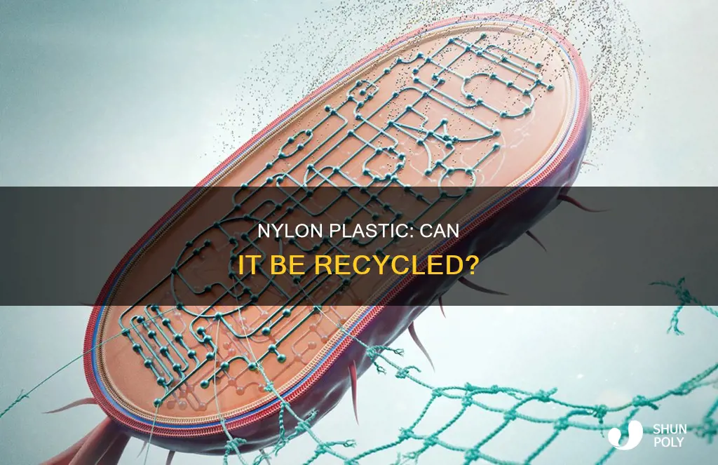 is nylon plastic recyclable