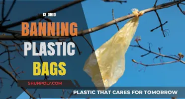 Ohio's Plastic Bag Ban: What You Need to Know