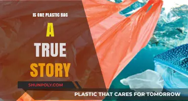 Is One Plastic Bag a True Story? Unraveling the Tale