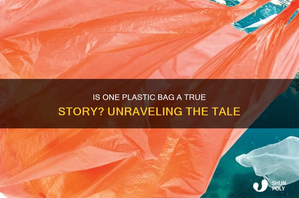 is one plastic bag a true story