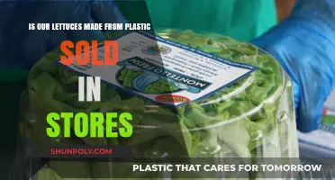 Are Store-Bought Lettuces Made from Plastic? Uncovering the Truth
