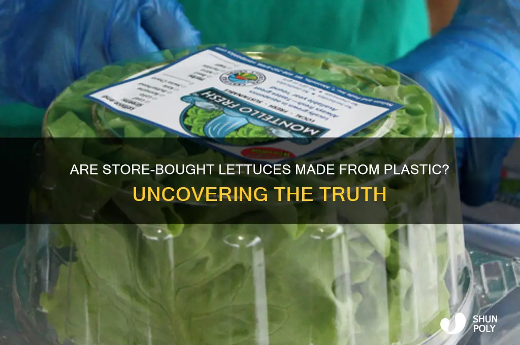 is our lettuces made from plastic sold in stores