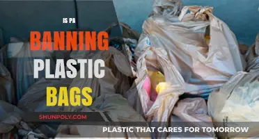 Pennsylvania's Plastic Bag Ban: What You Need to Know