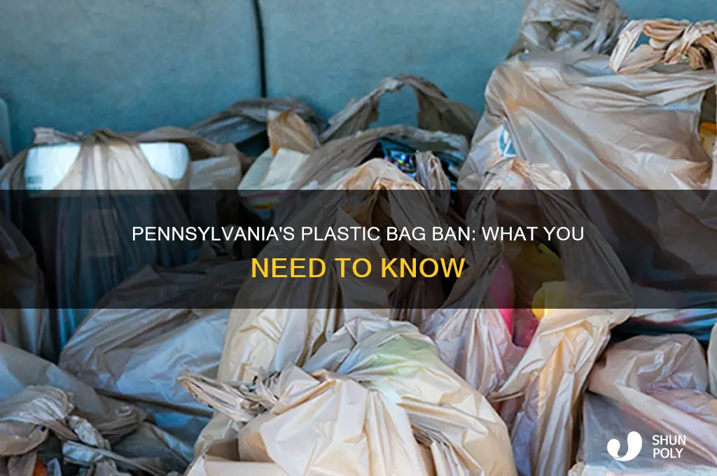 is pa banning plastic bags